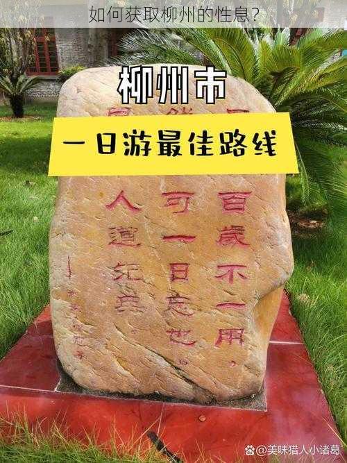 如何获取柳州的性息?