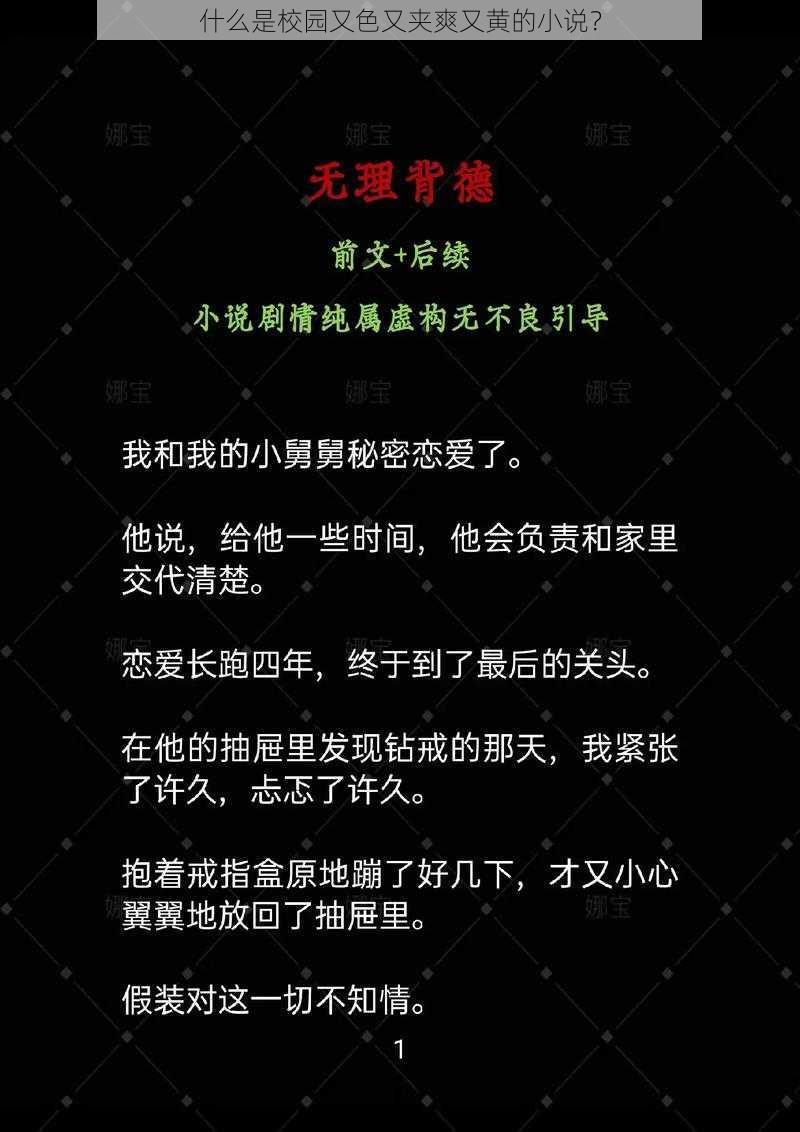 什么是校园又色又夹爽又黄的小说?