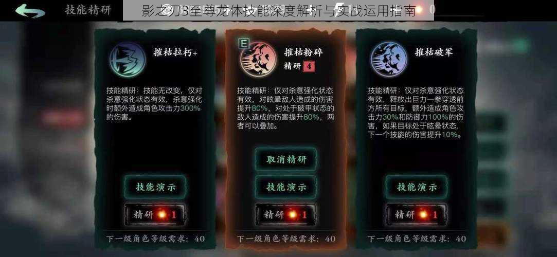 影之刃3至尊龙体技能深度解析与实战运用指南